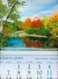 Kalendarz 2011 KT13 Jesień trójdzielny - okładka książki