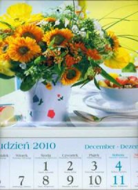 Kalendarz 2011 KT14 Bukiet trójdzielny - okładka książki