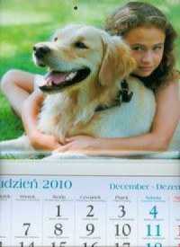 Kalendarz 2011 KT16 Oliwka trójdzielny - okładka książki