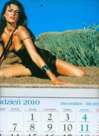 Kalendarz 2011 KT18 Sylwia trójdzielny - okładka książki