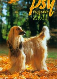 Kalendarz 2011 RW21 Psy rasowe - okładka książki