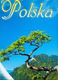 Kalendarz 2011 TW01 Polska trójdzielne - okładka książki