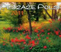 Kalendarz 2011 WL03 Pejzaże polski - okładka książki