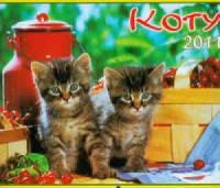 Kalendarz 2011 WL09 Koty rodzinny - okładka książki