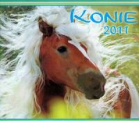 Kalendarz 2011 WL10 Konie rodzinny - okładka książki