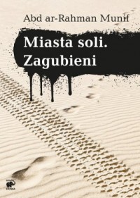 Miasta soli Zagubieni - okładka książki