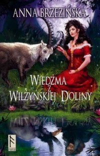 Wiedźma z Wilżyńskiej Doliny - okładka książki