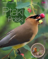 Ptaki Polski cz. 2 (+ CD) - okładka książki