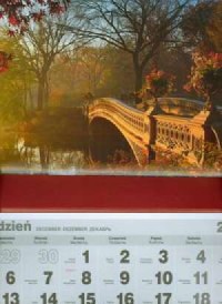 Kalendarz 2011 T 75 Poranek - okładka książki