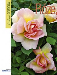 Róże - okładka książki
