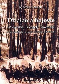 Działania bojowe Wołyńskiej Brygady - okładka książki