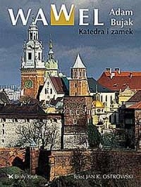Wawel. Katedra i zamek - okładka książki