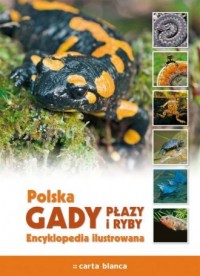Polska. Gady płazy i ryby. Encyklopedia - okładka książki