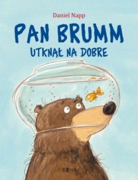 Pan Brumm utknął na dobre - okładka książki