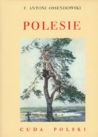 Polesie. Seria: Cuda Polski - okładka książki