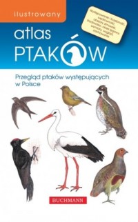 Ilustrowany atlas ptaków - okładka książki