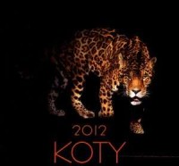 Kalendarz 2012 Koty - okładka książki