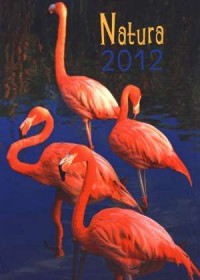 Kalendarz 2012 Natura - okładka książki