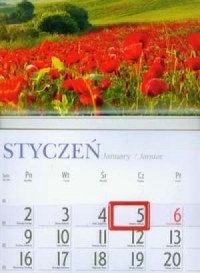 Kalendarz 2012 KJ03 Łąka - okładka książki