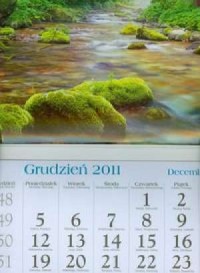 Kalendarz 2012 KT02 Strumień trójdzielny - okładka książki