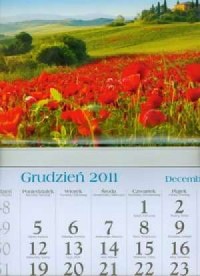 Kalendarz 2012 KT03 Maki trójdzielny - okładka książki