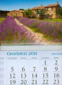 Kalendarz 2012 KT08 Lawenda trójdzielny - okładka książki