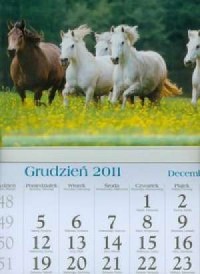 Kalendarz 2012 KT17 Konie trójdzielny - okładka książki