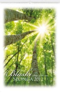 Kalendarz 2012 RW02 Blaski słońca - okładka książki