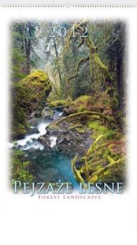 Kalendarz 2012 RW04 Pejzaże leśne - okładka książki