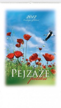 Kalendarz 2012 RW07 Pejzaże polskie - okładka książki