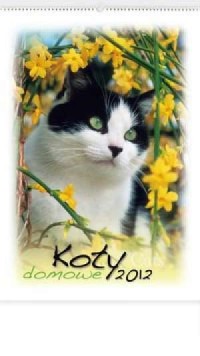 Kalendarz 2012 RW21 Koty domowe - okładka książki