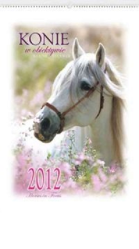 Kalendarz 2012 RW22 Konie w obiektywie - okładka książki