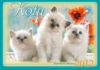 Kalendarz 2012 WL09 Koty rodzinny - okładka książki