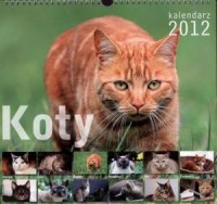 Kalendarz 2012 ścienny Koty - okładka książki