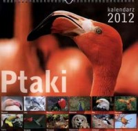 Kalendarz 2012 ścienny Ptaki - okładka książki