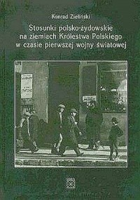 Stosunki polsko-żydowskie na ziemiach - okładka książki