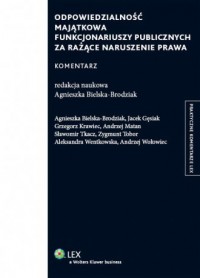 Odpowiedzialność majątkowa funkcjonariuszy - okładka książki