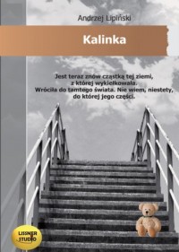Kalinka - pudełko audiobooku