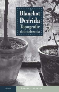 Blanchot i Derrida. Topografie - okładka książki