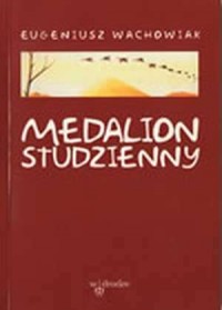 Medalion studzienny - okładka książki