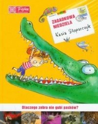 Zagadkowa niedziela - okładka książki