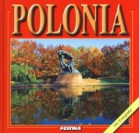 Polska. 241 fotografii (wersja - okładka książki