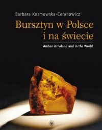 Bursztyn w Polsce i na świecie - okładka książki