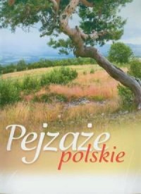 Kalendarz 2013 RW 7. Pejzaże polskie - okładka książki