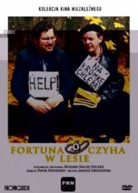 Fortuna czyha w lecie (DVD) - okładka filmu