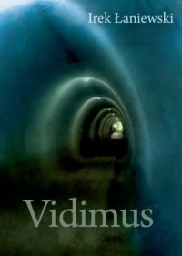 Vidimus - okładka książki