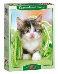 Kot w zielonym szalu (puzzle kartonowe - zdjęcie zabawki, gry