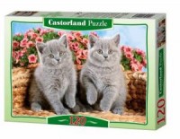 Dwa szare koty (puzzle kartonowe - zdjęcie zabawki, gry