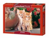 Rude kotki (puzzle - 1500 elem.) - zdjęcie zabawki, gry