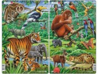 Dżungla. Indie i południowo-wschodnia - zdjęcie zabawki, gry